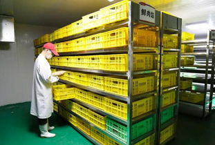 揭秘和善園中央廚房 日產(chǎn)20多噸餡料的現(xiàn)代化食品工廠與人性化員工住宿服務(wù)